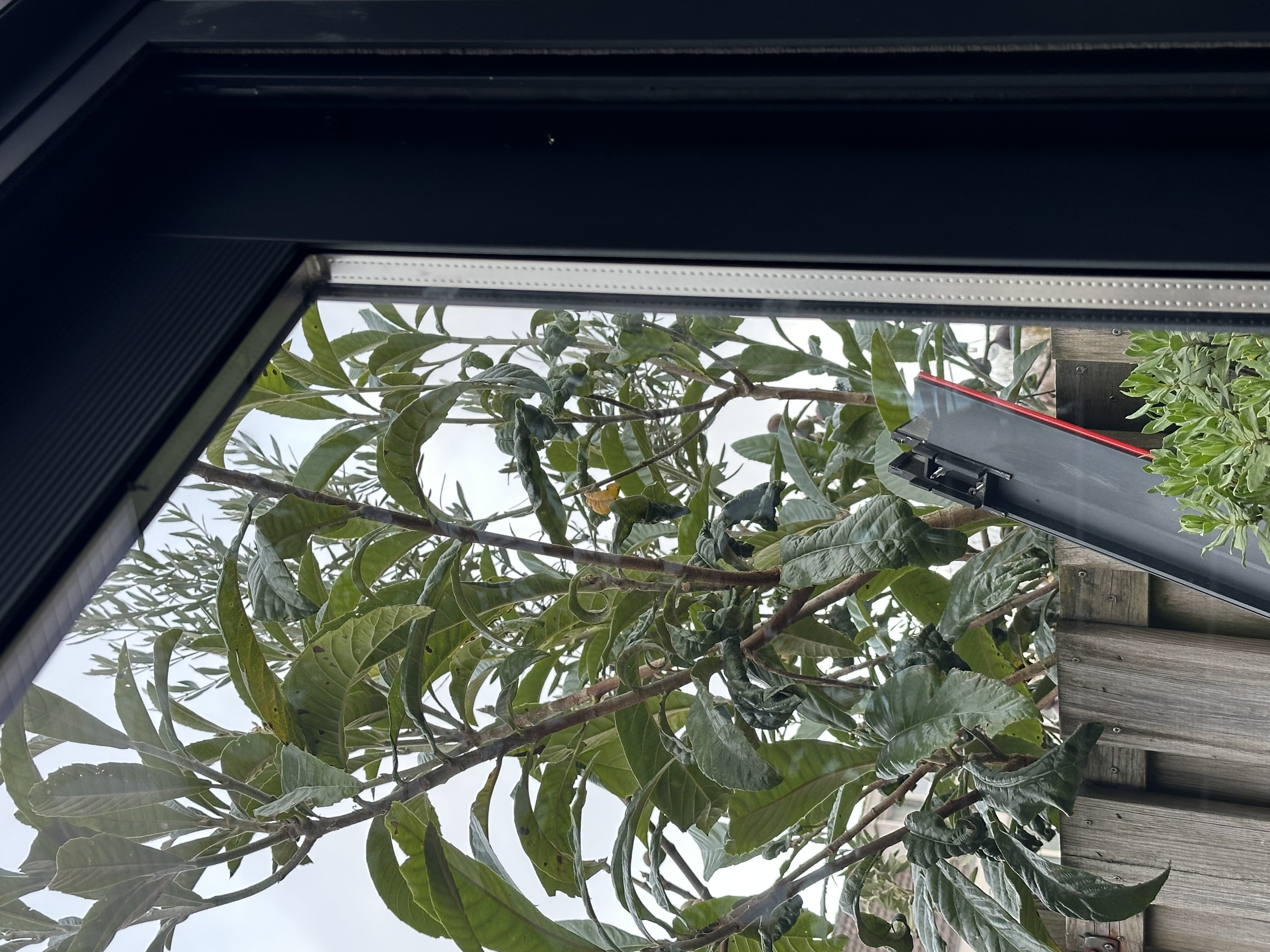 DT Overkappingen project